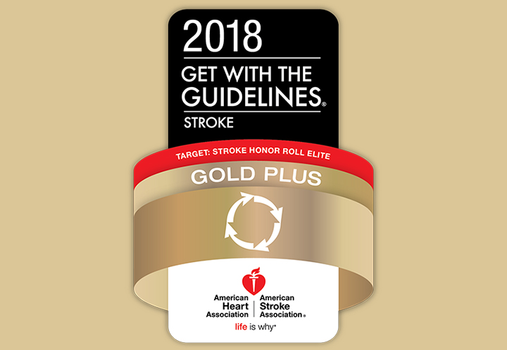 Get with the Guidelines® - Stroke Gold Plus Target: Stroke Honor Roll Elite Award Get with the Guidelines® - Stroke Gold Plus Target: Stroke Honor Roll Elite Award